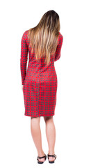 back view of standing young beautiful  woman.