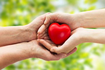 Naklejka na ściany i meble senior and young woman hands holding red heart