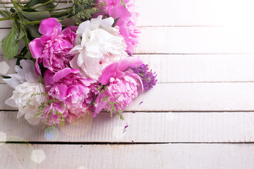 Background with fresh  pink and white peonies flowers