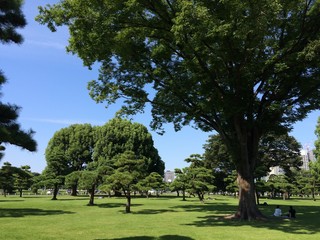 都会にある憩いの公園