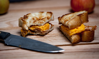 Toasted Sandwitch