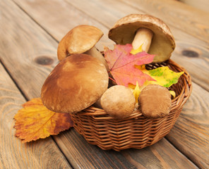 boletus mushrooms in a basket