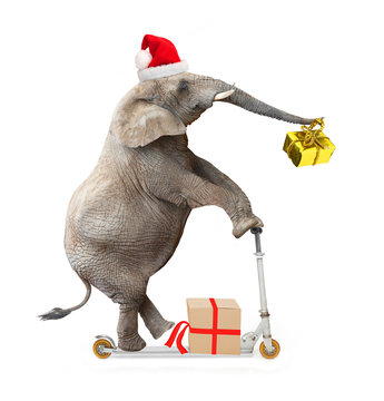 African elephant as a Santa Claus driving a push scooter and delivering Christmas gifts for all.