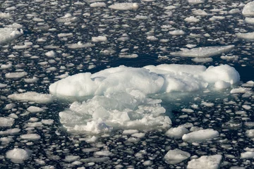 Fototapeten Iceberg, Mer de Weddell, Antarctique © JAG IMAGES