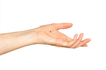 Woman's hand reaching out for help. Showing a black dot on the palm, a symbol for a victim of domestic violence who wants help. Isolated on white. 