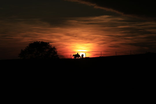 Romantischer Sonnenuntergang, Abendstimmung