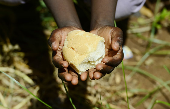 Stunting African Children Symbol - Baby Girl Holding Bread Malnutrition. Starving Hunger Symbol. Black African girl holding bread as a malnutrition symbol.