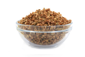  sorrel