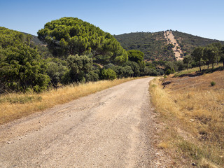 Cañada Reall de Talavera. Pelayos de la Presa. Madrid