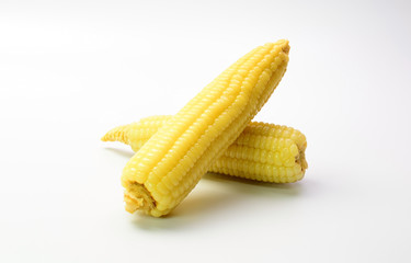 corn on a white background