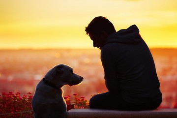 Man with dog at the sunrise