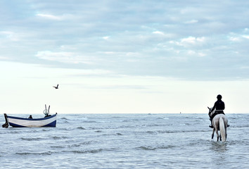 cavalière sur la côte