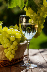 White wine and grapes