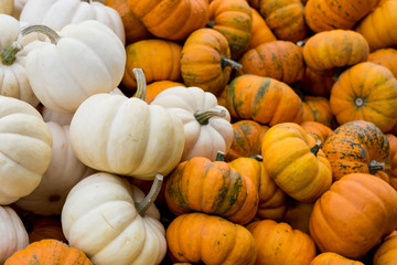 Kürbisse auf Haufen