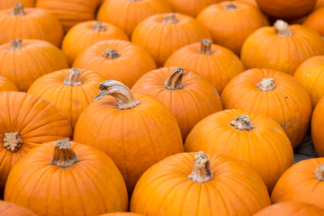 Kürbisse auf Haufen