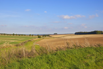 Obraz premium picturesque autumn landscape