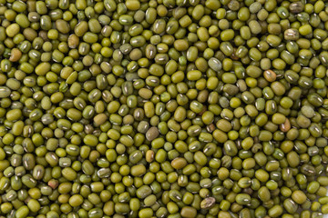 green beans on white background