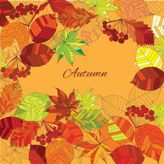 autumn leaves with text