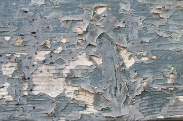 Rustikaler Holz Hintergrund