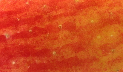 texture of the apple peel