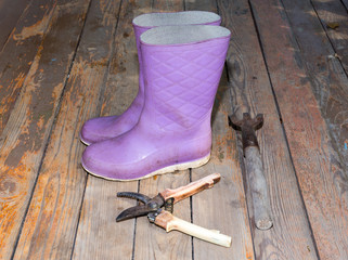 Wellingtons on wooden floor
