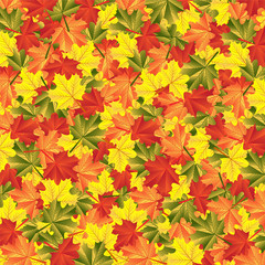 Naklejka na ściany i meble background autumn maple leaves