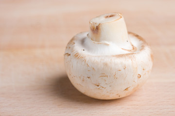 White mushroom on a wooden background
