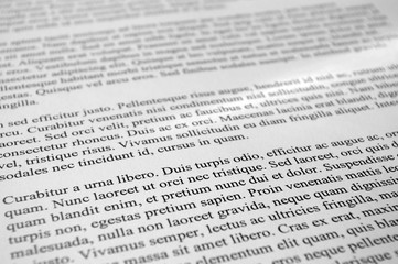 Lorem Ipsum paragraphs of text type