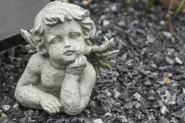 Engel