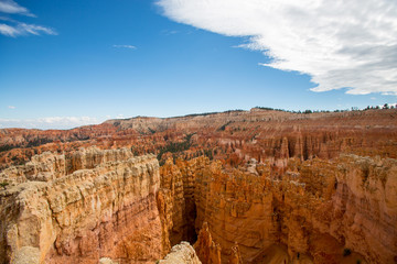 Bryce