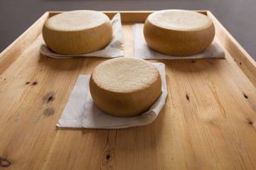Tre forme di formaggio pecorino su una tavola di legno