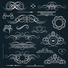 Vintage set decor elements for menu. Elegance old hand drawing s