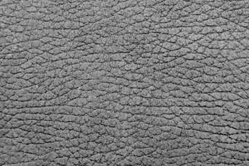 The photo shows the original gray texture of natural skin of animal origin