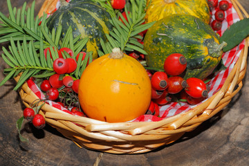 Herbstdekoration, Kürbis, Zierkürbis, Hagebutten, Beeren