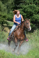 Pferd im Galopp durch Bach