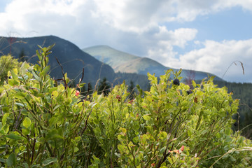Fototapeta premium Mountains landscape
