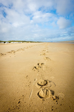 The Footprint Of A Horse On The Beach