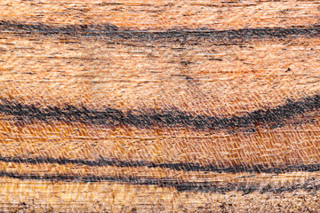 Wood background