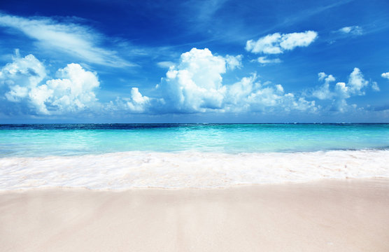 Fototapeta sand of beach caribbean sea