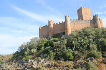Fototapeta na wymiar Castle in Portugal
