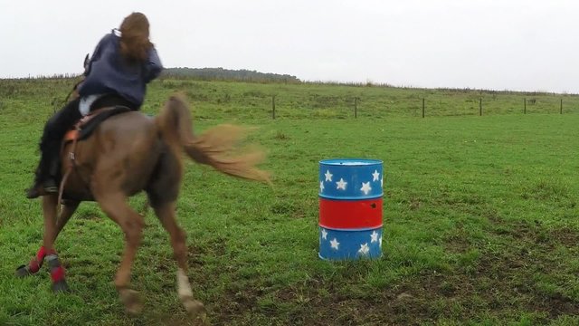 Barrel Racer