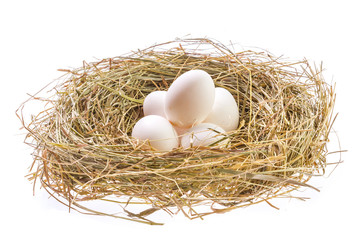 Nest with Easter eggs