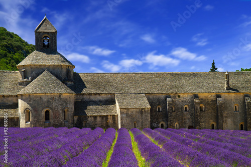 Lavender Field, Abbey of Senanque, Near Gordes, Provence, France бесплатно