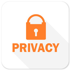 privacy flat icon