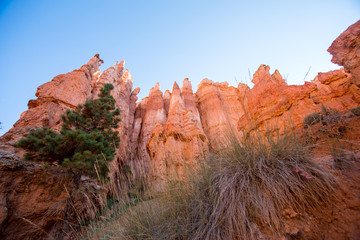 Bryce