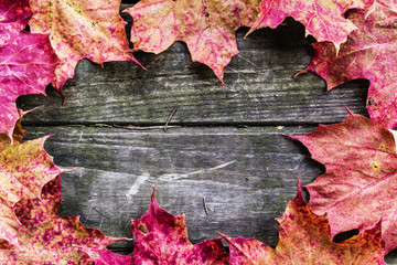 Autumn leaves on rustic wooden background