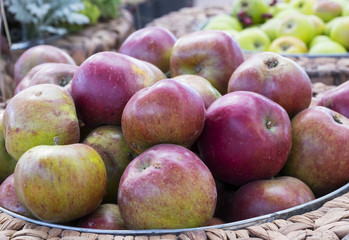 Schale mit Bioäpfel