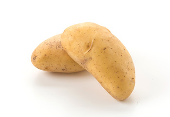fresh potato on white background