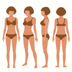 Fototapeta premium human body anatomy, front, back, side view, vector woman illustration 