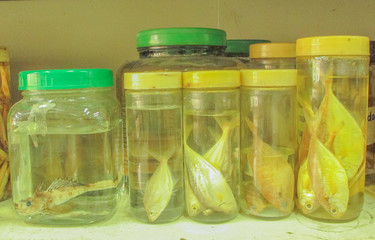 fish preserved
